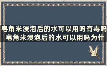 皂角米浸泡后的水可以用吗有毒吗 皂角米浸泡后的水可以用吗为什么